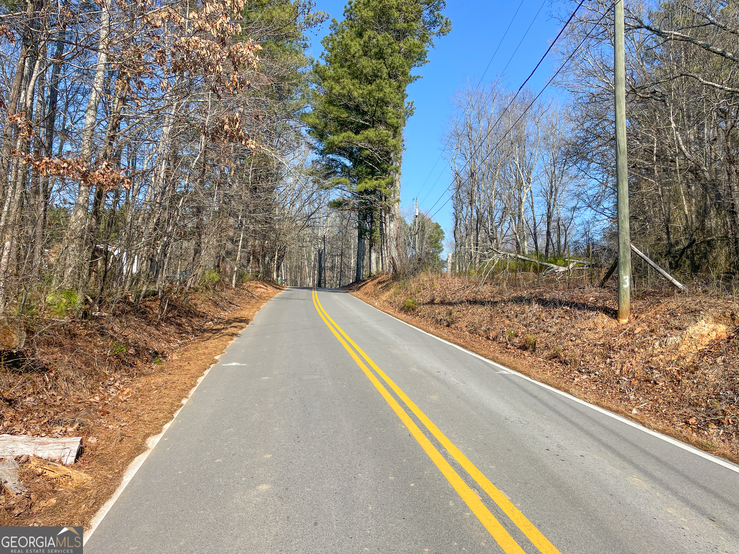21 Acres On Allgood Church Road Temple, GA 30179 - Photo 7 of 33 a view of a backyard with large trees