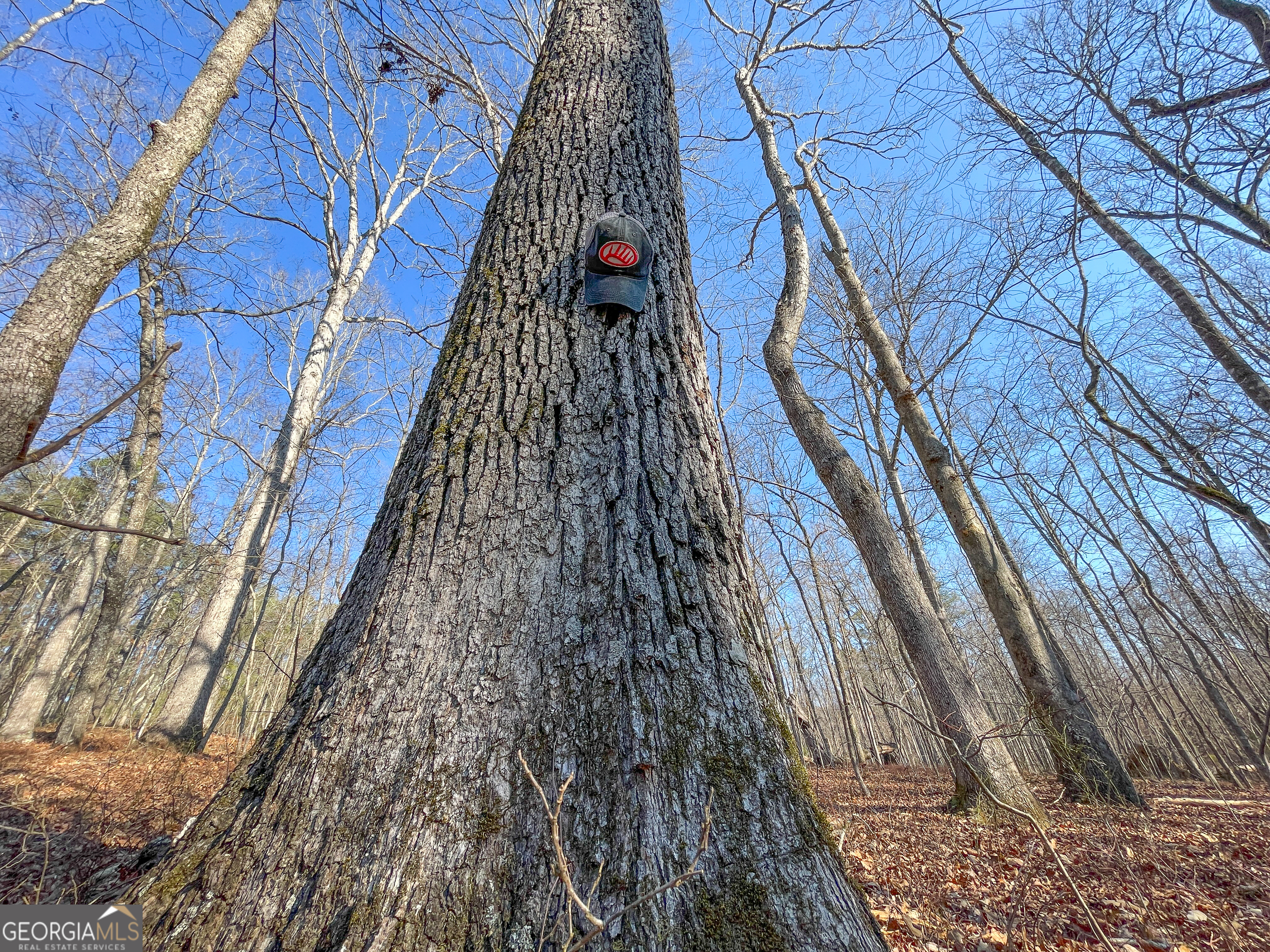 21 Acres On Allgood Church Road Temple, GA 30179 - Photo 8 of 33 a view of stairs