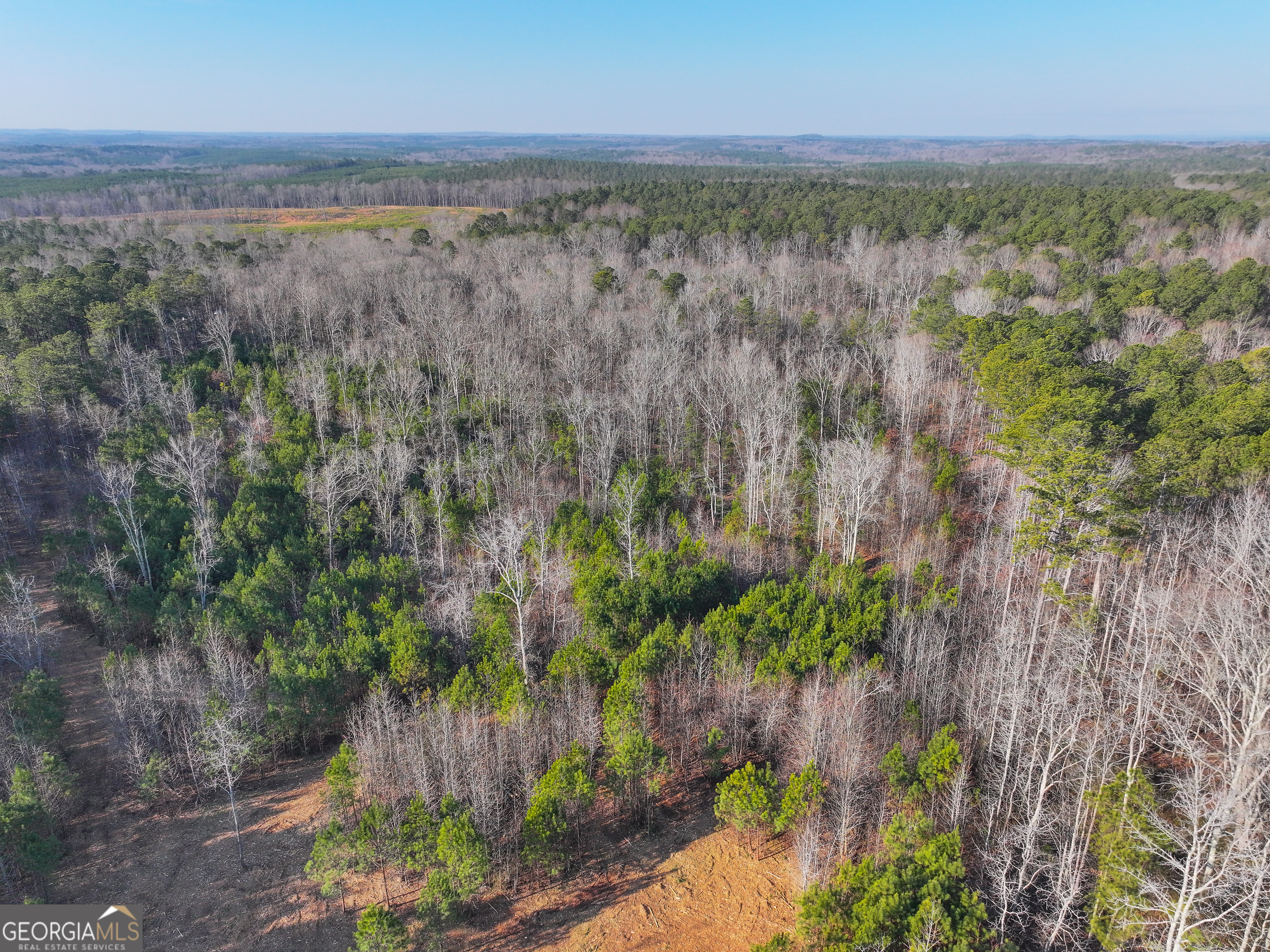 21 Acres On Allgood Church Road Temple, GA 30179 - Photo 9 of 33 a view of a yard with an outdoor space