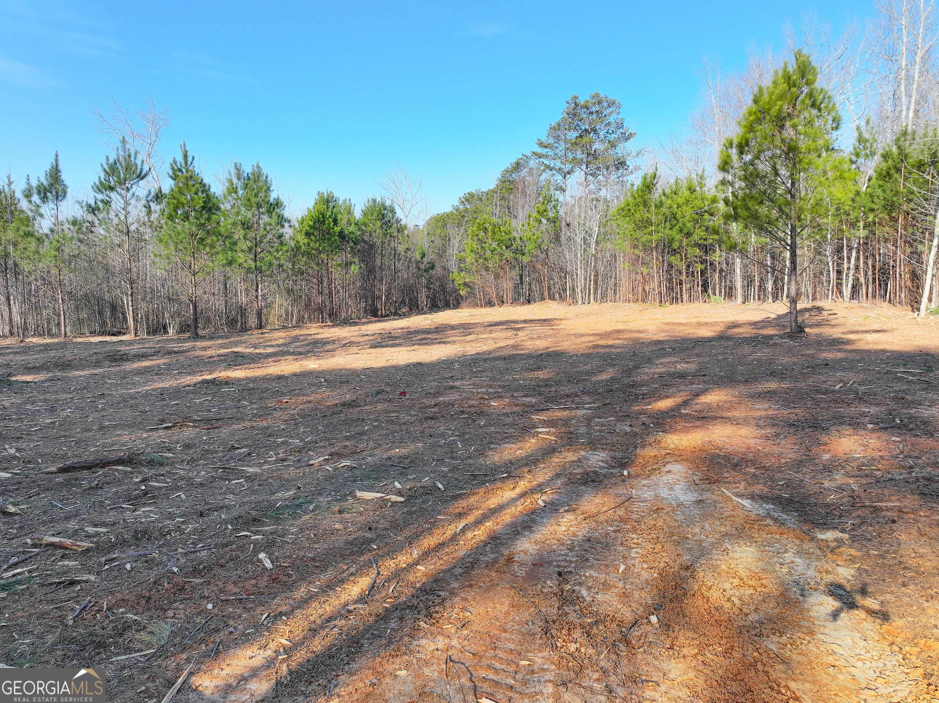 21 Acres On Allgood Church Road Temple, GA 30179 - Photo 10 of 33 a view of a yard with a tree