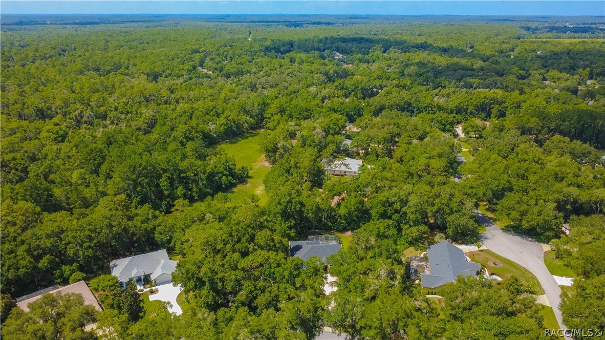 18976 Southwest 93rd Loop Dunnellon, FL 34432 - Photo 62 of 82