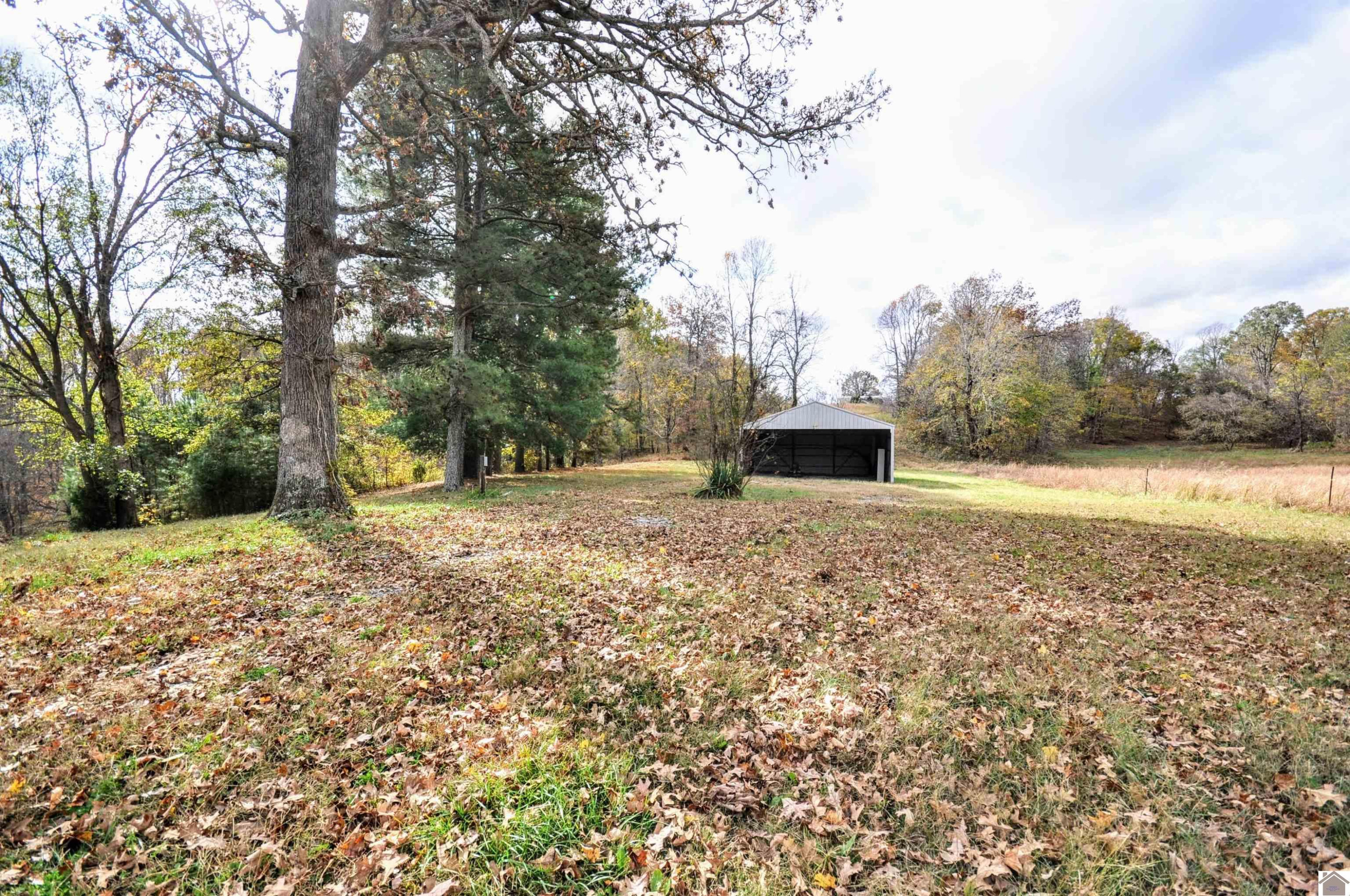 21471 Marion Road Fredonia, KY 42411 - Photo 13 of 34 Photo 13