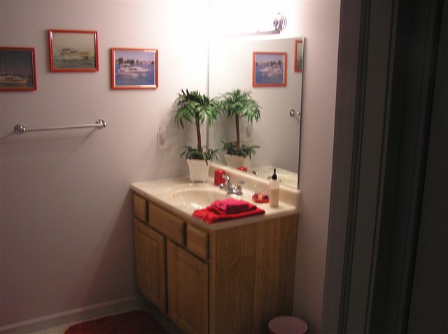 30116 Raintree Circle New Baltimore, MI 48047 - Photo 9 of 15 31016445-8.JPG