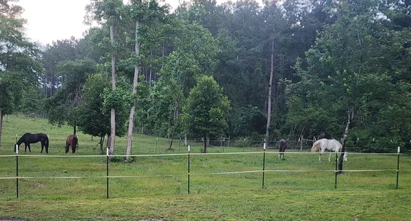 $380,000 | 275 County Road 3215, Colmesneil, TX 75938