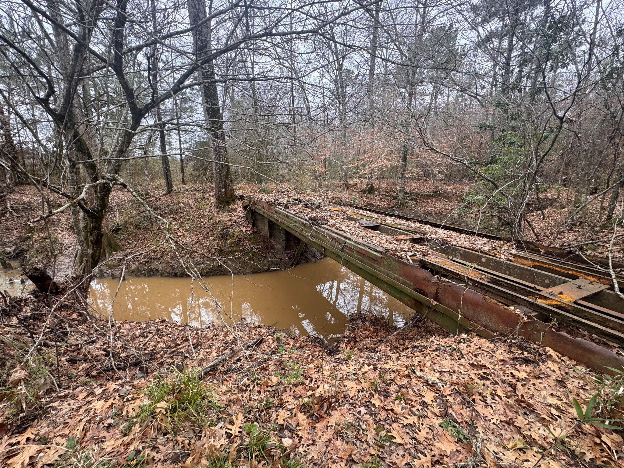 10441 Highway 287 Chester, TX 75936 - Photo 11 of 12