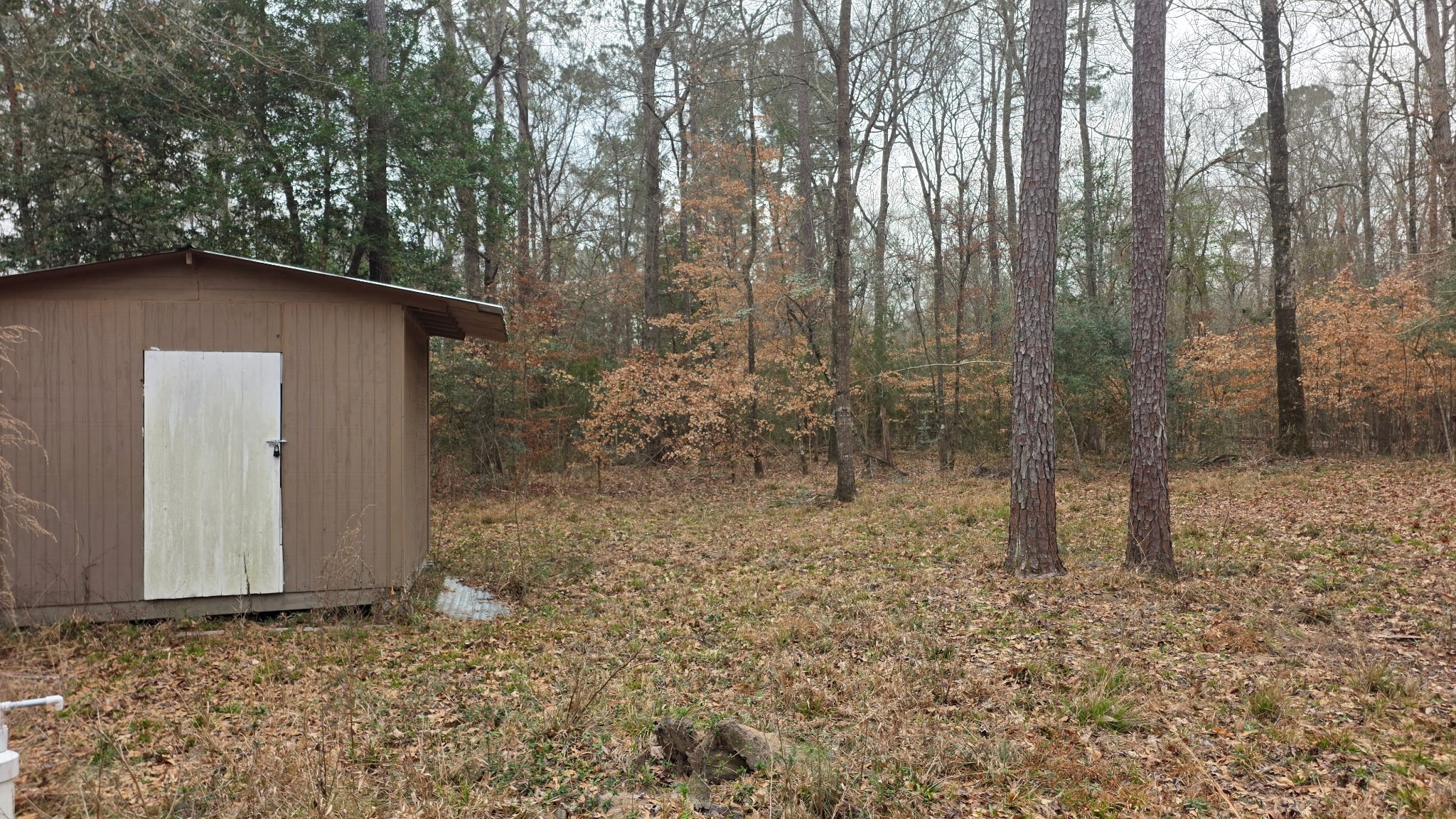 10441 Highway 287 Chester, TX 75936 - Photo 19 of 22 a backyard of a house with lots of green space