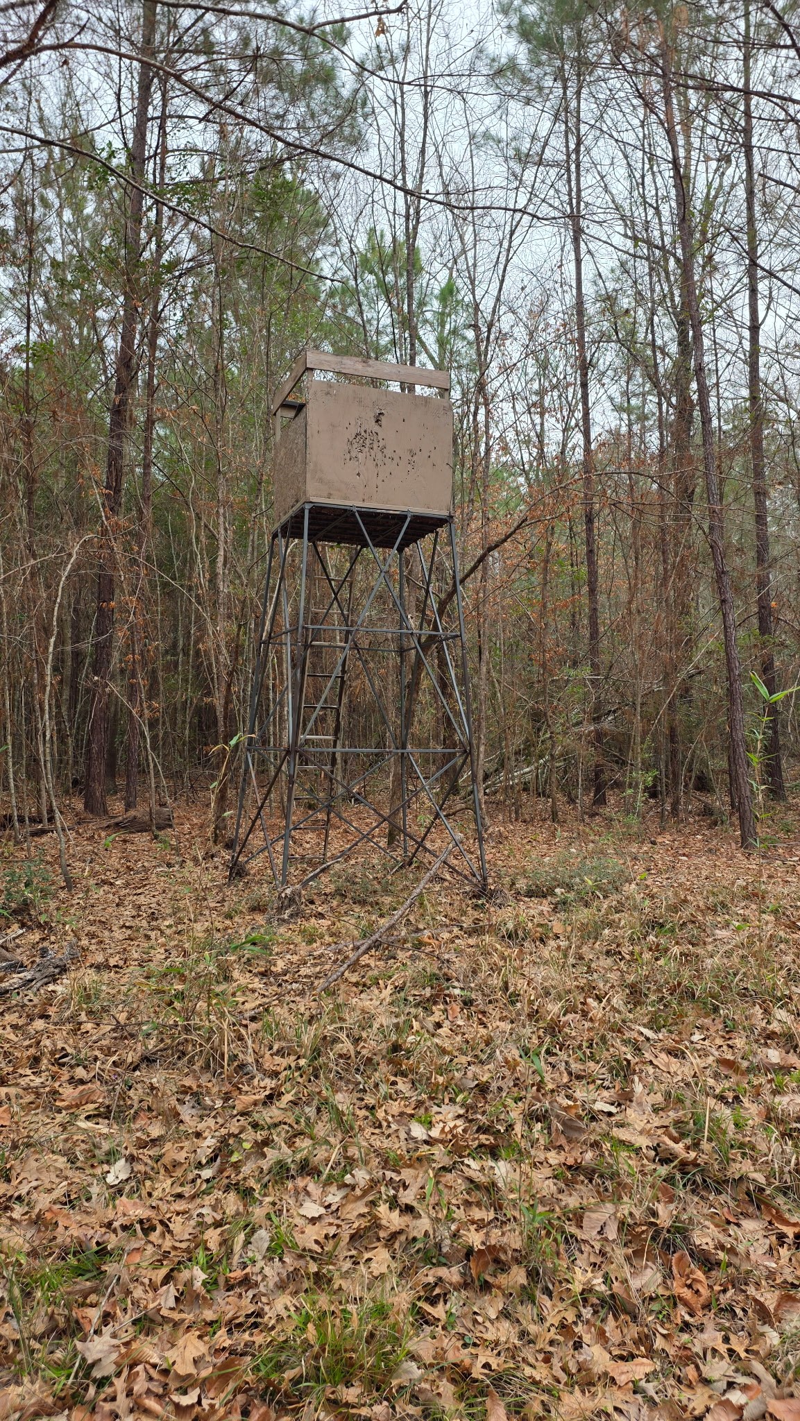 10441 Highway 287 Chester, TX 75936 - Photo 21 of 22 a backyard of a house with table and chairs