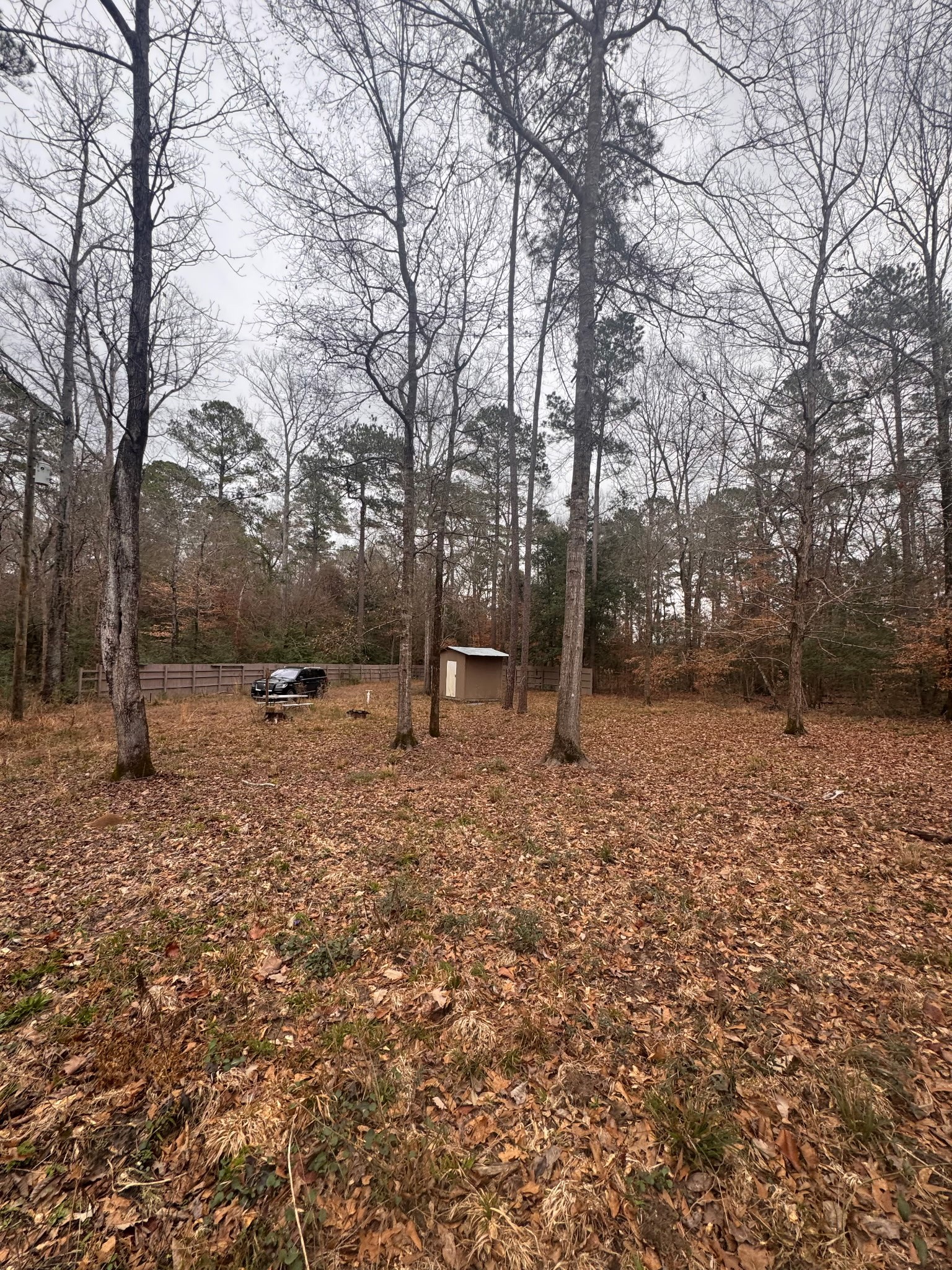 10441 Highway 287 Chester, TX 75936 - Photo 3 of 22 a backyard of a house with lots of green space