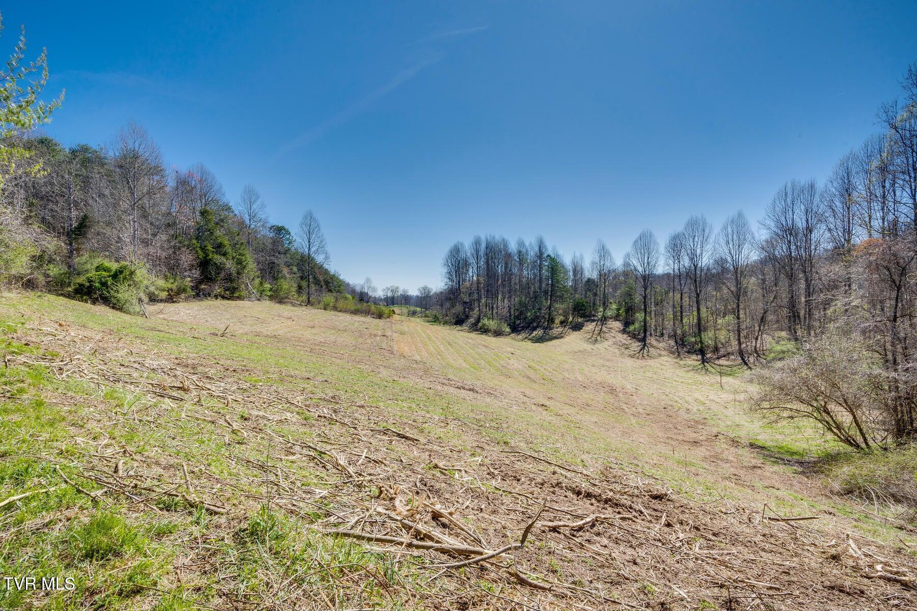 Tbd Ivy Valley Road Gate City, VA 24251 - Photo 2 of 12 20230331155952051131000000-o