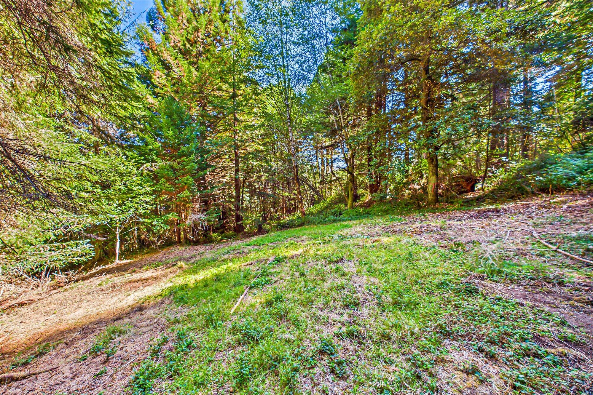 3924 Old Railroad Grade Road McKinleyville, CA 95521 - Photo 53 of 71 53-3924 Old Railroad-146