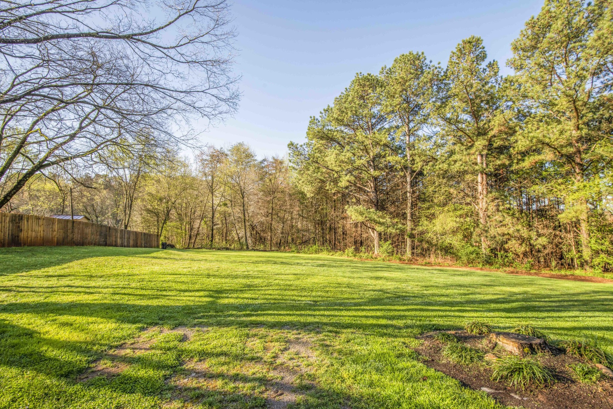 581 Stephens Road Greenback, TN 37742 - Photo 30 of 30 a view of a grassy field with trees