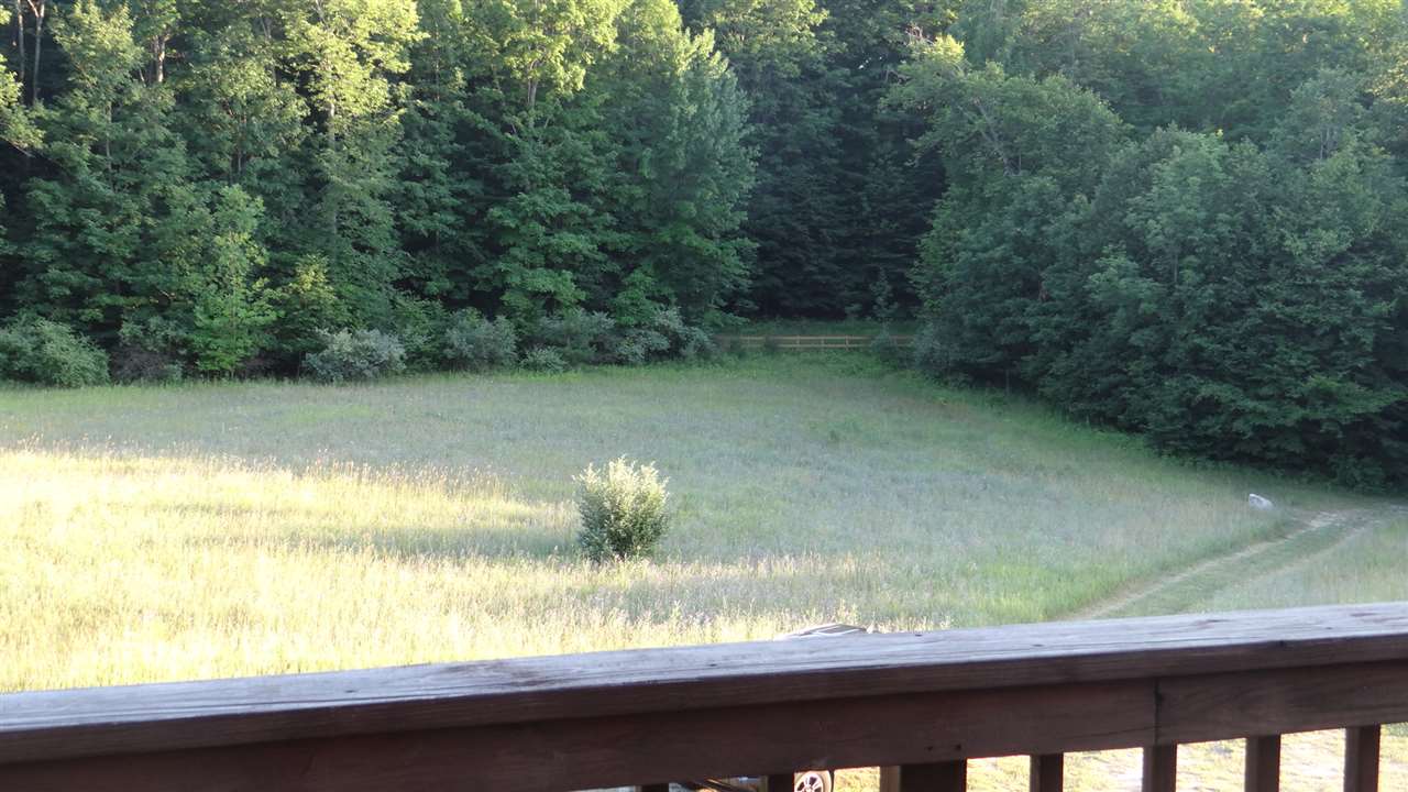 6379 Riley Ridge Thompsonville, MI 49683 - Photo 35 of 50 1820656-41.JPG