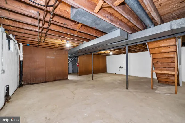 a view of a big yard with plants and large trees