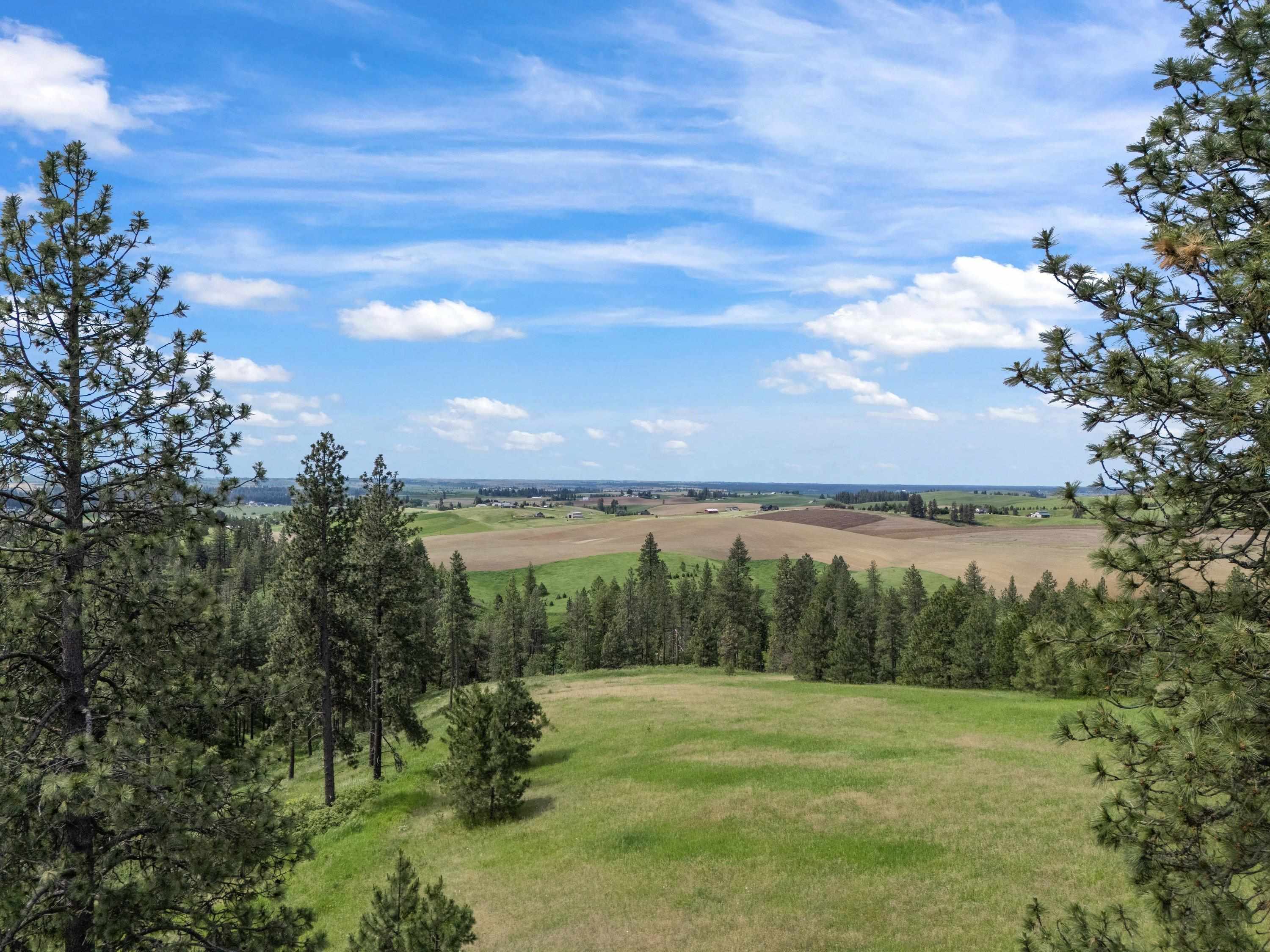 9630 South Sands Road Valleyford, WA 99036 - Photo 11 of 32