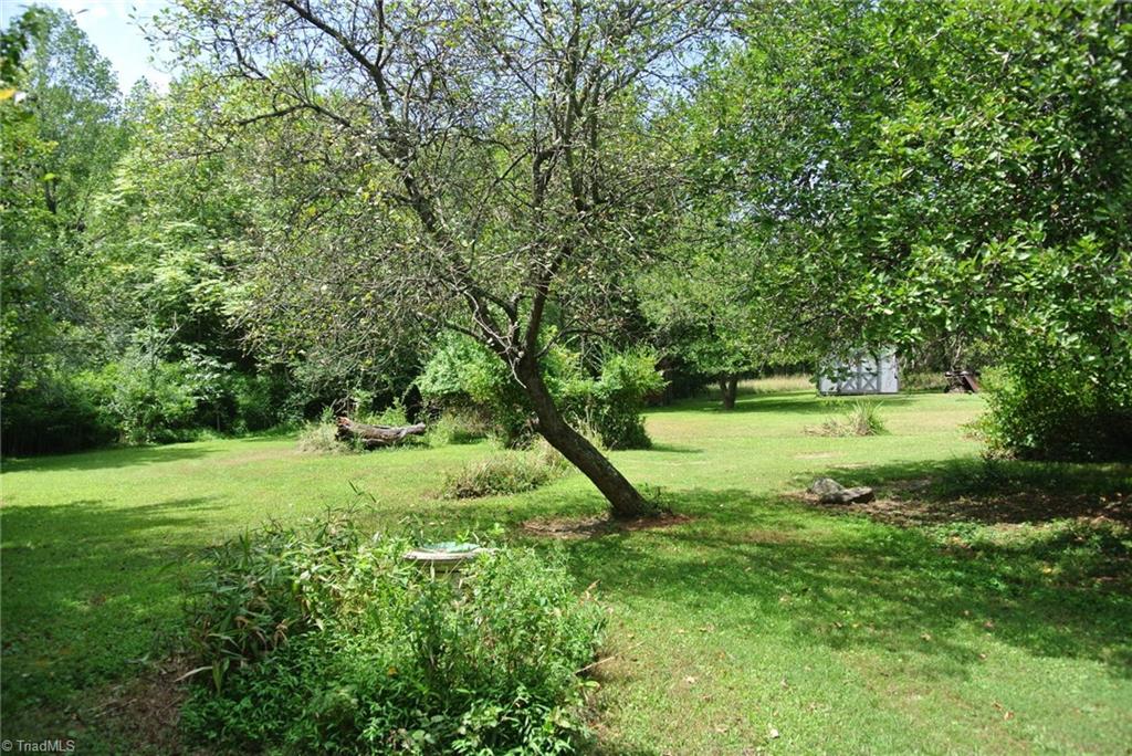 1419 Surry Line Road Pinnacle, NC 27043 - Photo 11 of 30