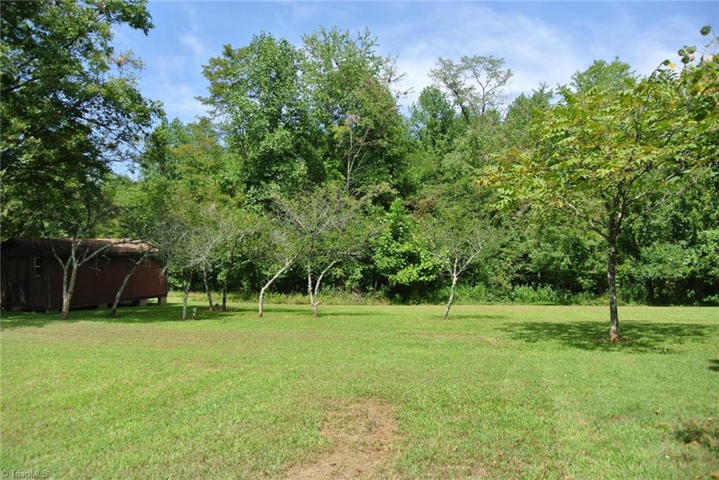 1419 Surry Line Road Pinnacle, NC 27043 - Photo 14 of 30