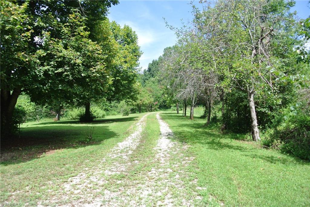 1419 Surry Line Road Pinnacle, NC 27043 - Photo 4 of 30