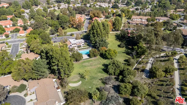 a view of a garden with plants