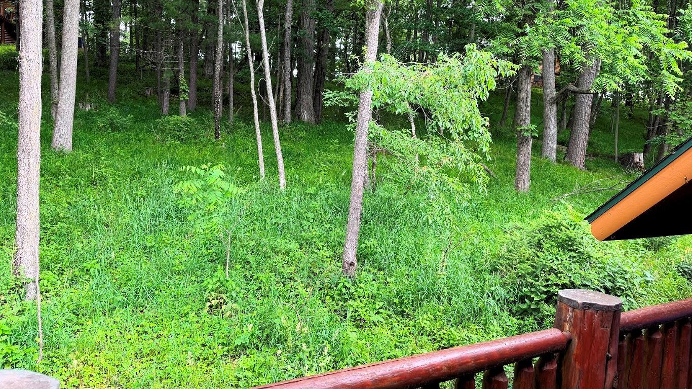 55 Bowman Road, Unit 311 Wisconsin Dells, WI 53965 - Photo 69 of 90