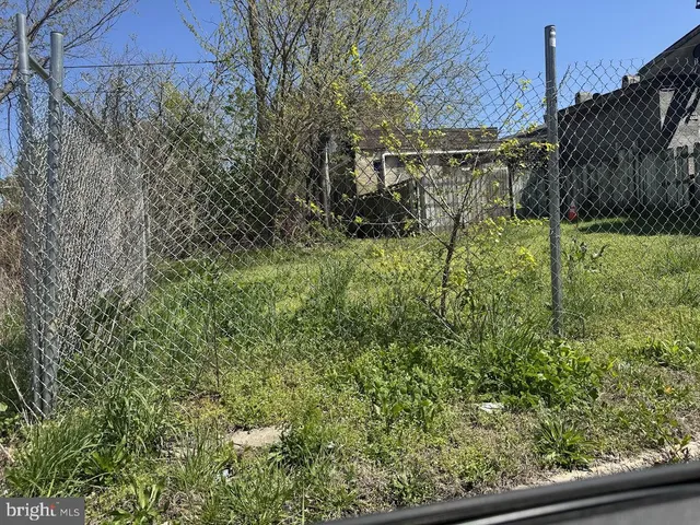 a view of a yard with potted plants