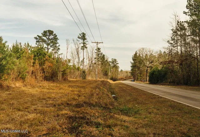 $354,000 | Tbd Southwest Tbd Sw Arlington Drive, Bogue Chitto, MS 39629