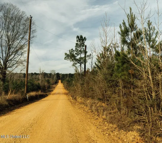 $354,000 | Tbd Southwest Tbd Sw Arlington Drive, Bogue Chitto, MS 39629