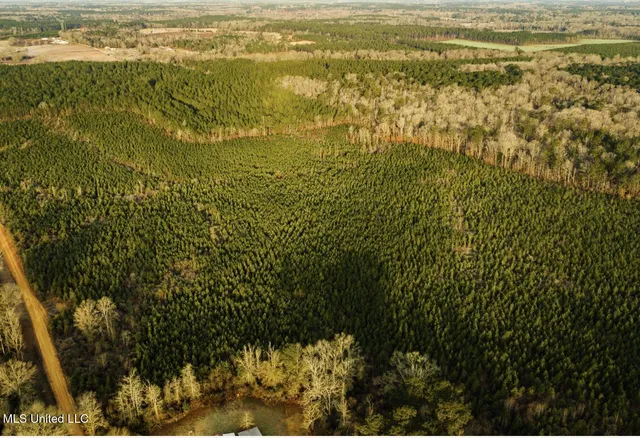 $354,000 | Tbd Southwest Tbd Sw Arlington Drive, Bogue Chitto, MS 39629