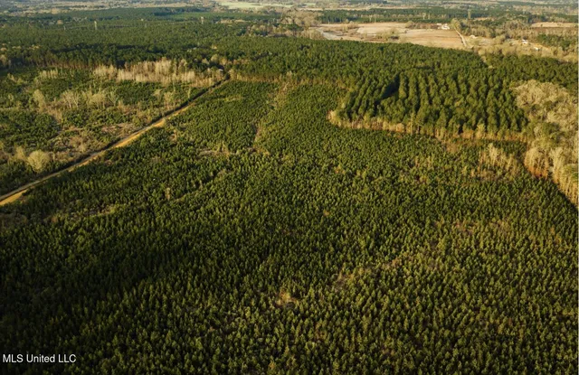 $354,000 | Tbd Southwest Tbd Sw Arlington Drive, Bogue Chitto, MS 39629