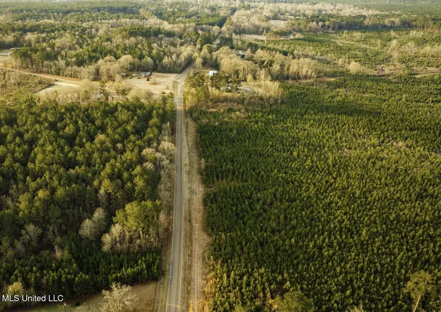 $354,000 | Tbd Southwest Tbd Sw Arlington Drive, Bogue Chitto, MS 39629