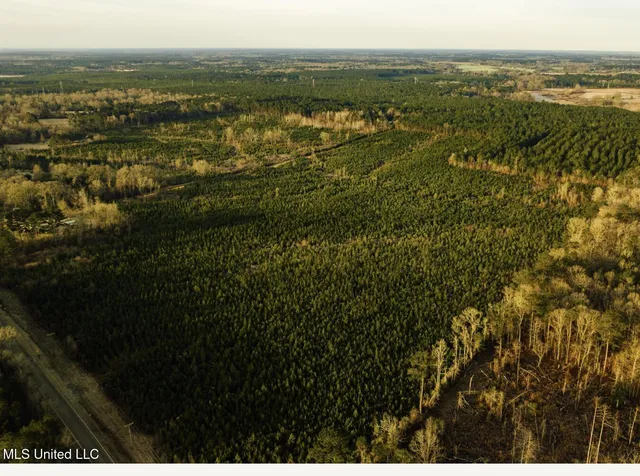 $354,000 | Tbd Southwest Tbd Sw Arlington Drive, Bogue Chitto, MS 39629