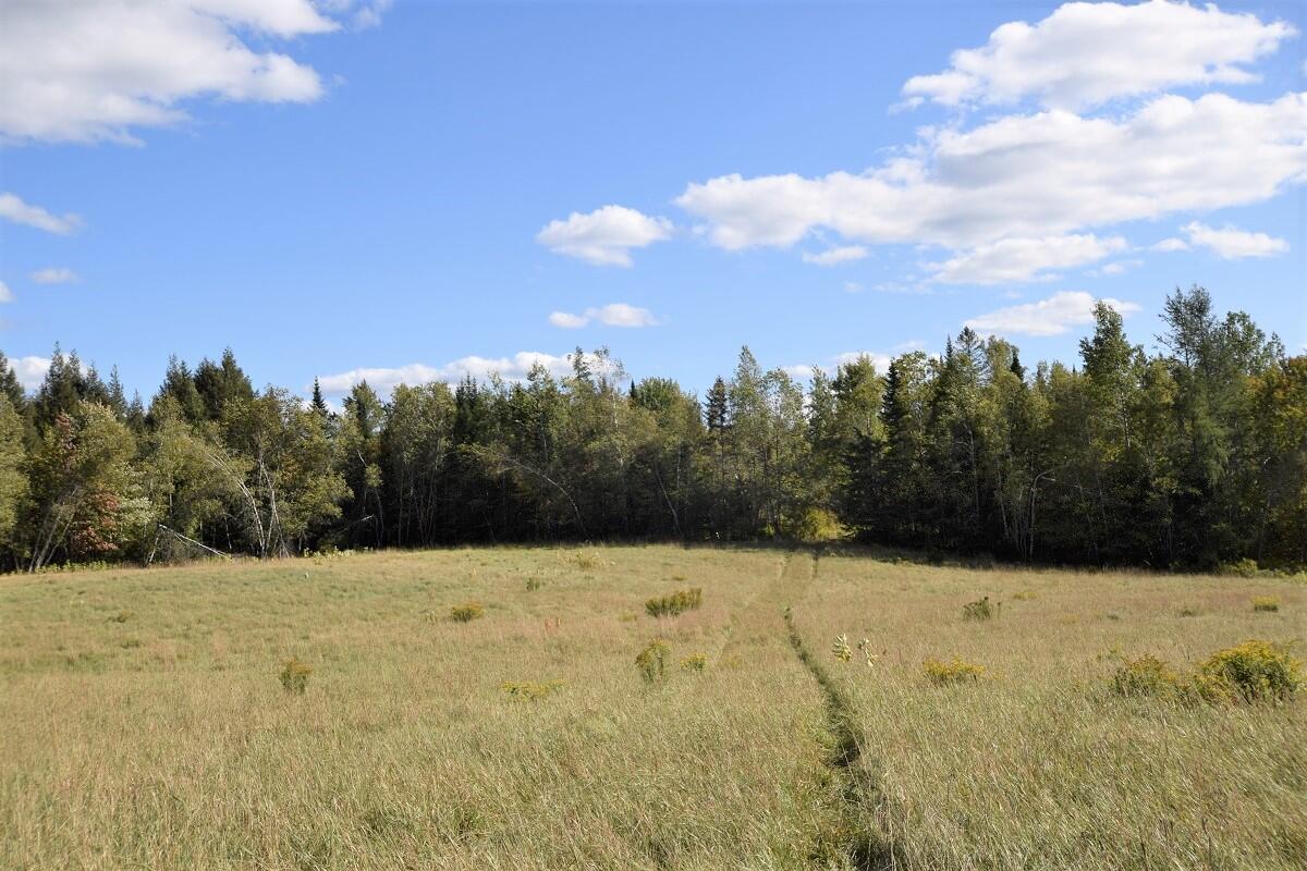 358 Cambridge Road Harmony, ME 04942 - Photo 48 of 53 Fields & Woods...