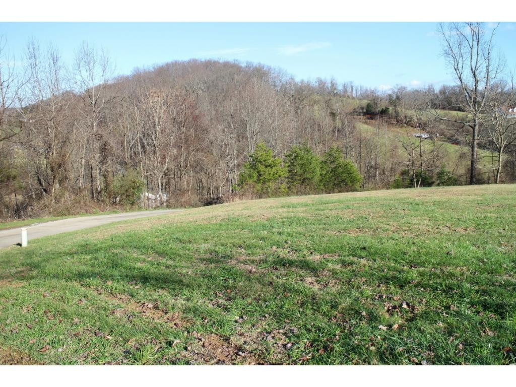 287 Kendricks Hollow Road Bristol, TN 37620 - Photo 8 of 13 Photo 8