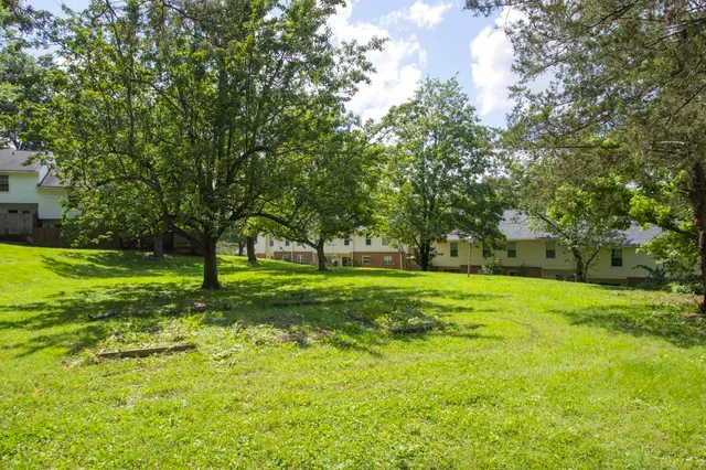 a huge green field with lots of trees