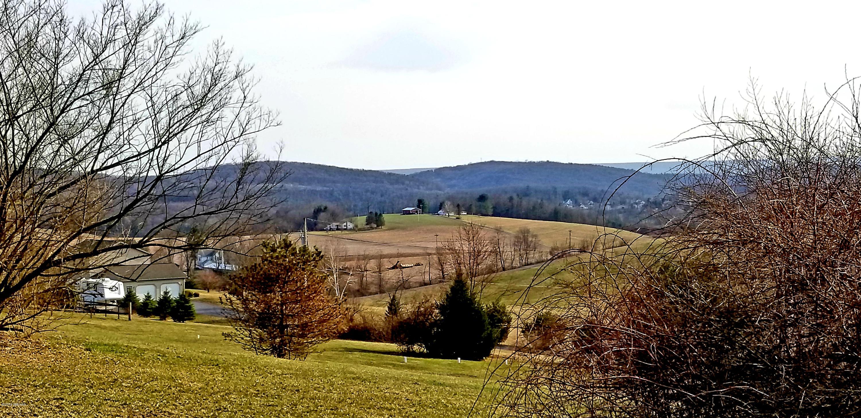 0 Biddle Road Montoursville, PA 17754 - Photo 3 of 5 Another view from the Lot