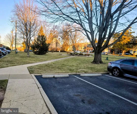 a view of yard with tree s