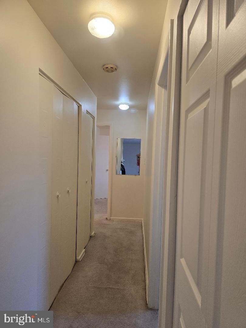 214 Locust Street Southeast, Unit 121 Vienna, VA 22180 - Photo 10 of 18 Lots of Storage along the Hall Way