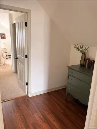 a view of a hallway with wooden floor and cabinet