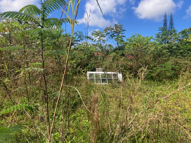 14-3481 Lot 930 Shell Road Pahoa, HI 96778 - Photo 5 of 7