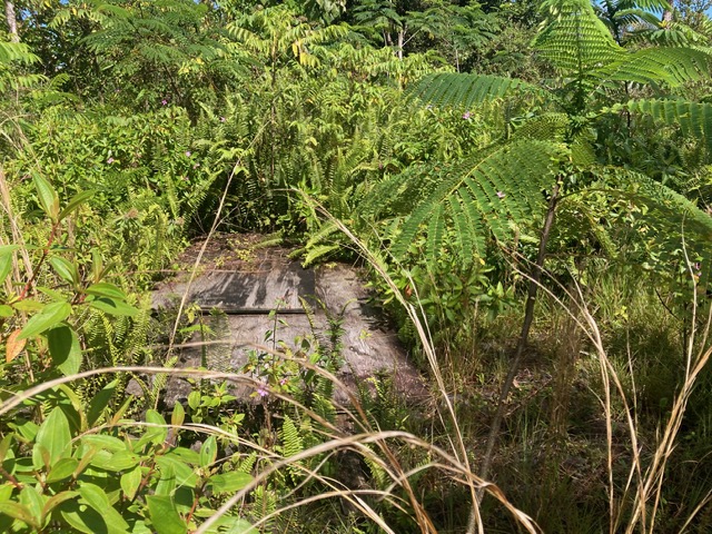 14-3481 Lot 930 Shell Road Pahoa, HI 96778 - Photo 6 of 7