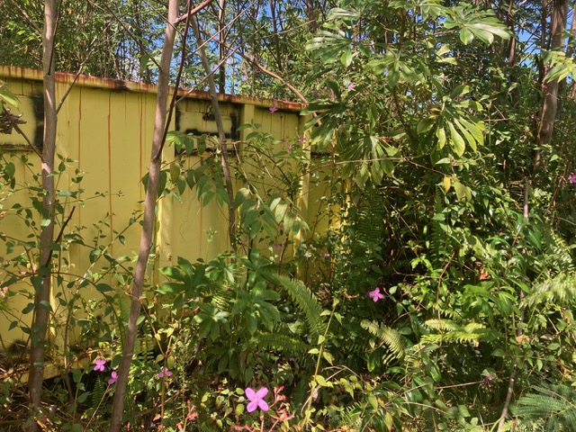 14-3481 Lot 930 Shell Road Pahoa, HI 96778 - Photo 7 of 7