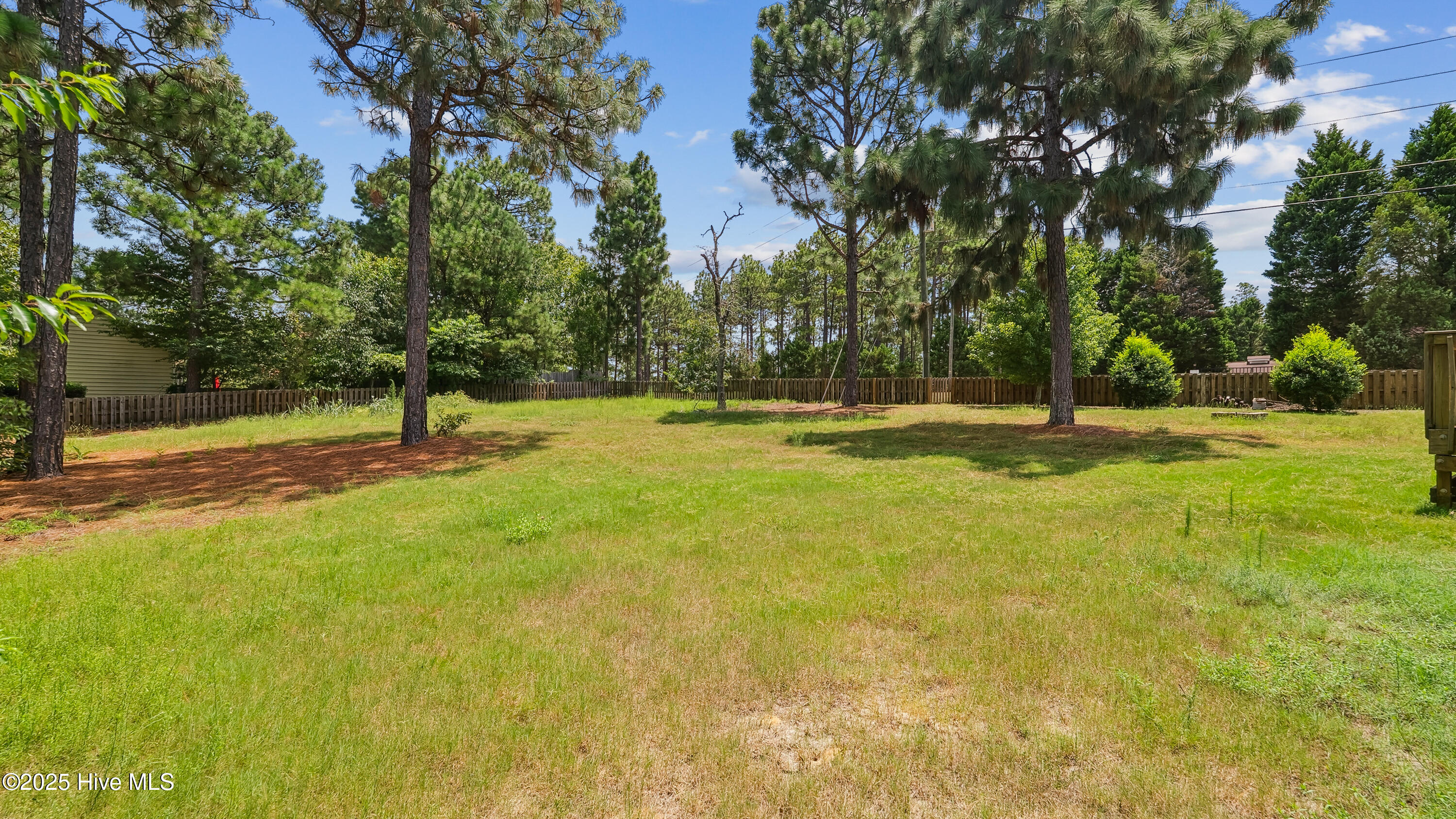 110 Queens Cove Way Carthage, NC 28327 - Photo 41 of 42 DSC06576 copy