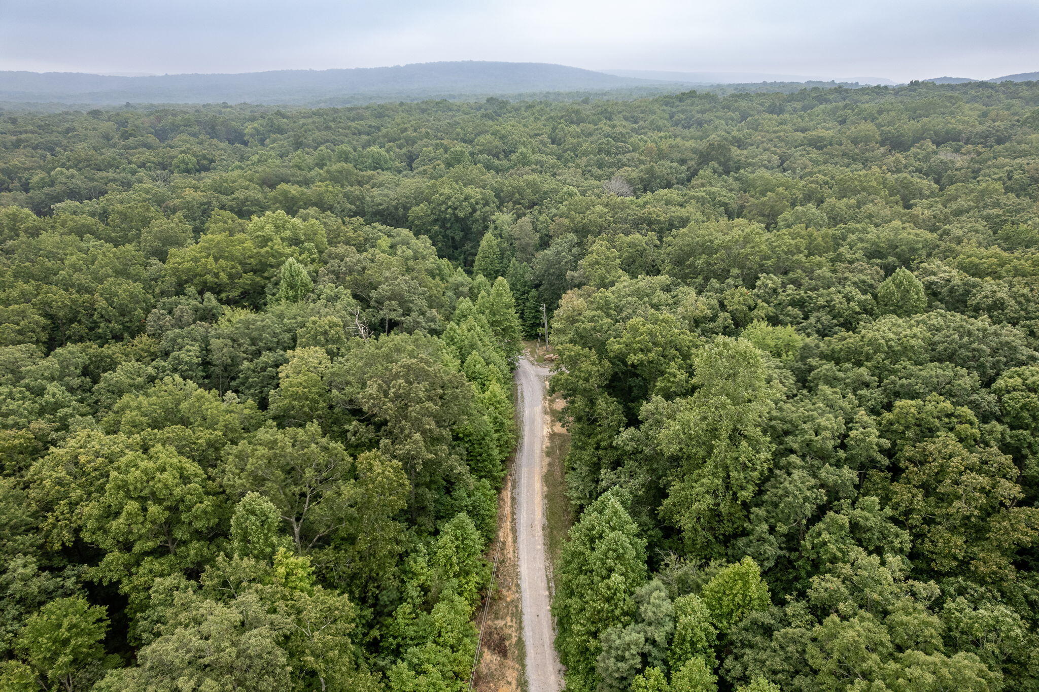 650 Green Forest Road Dunlap, TN 37327 - Photo 12 of 22 24-web-or-mls-DJI_0093