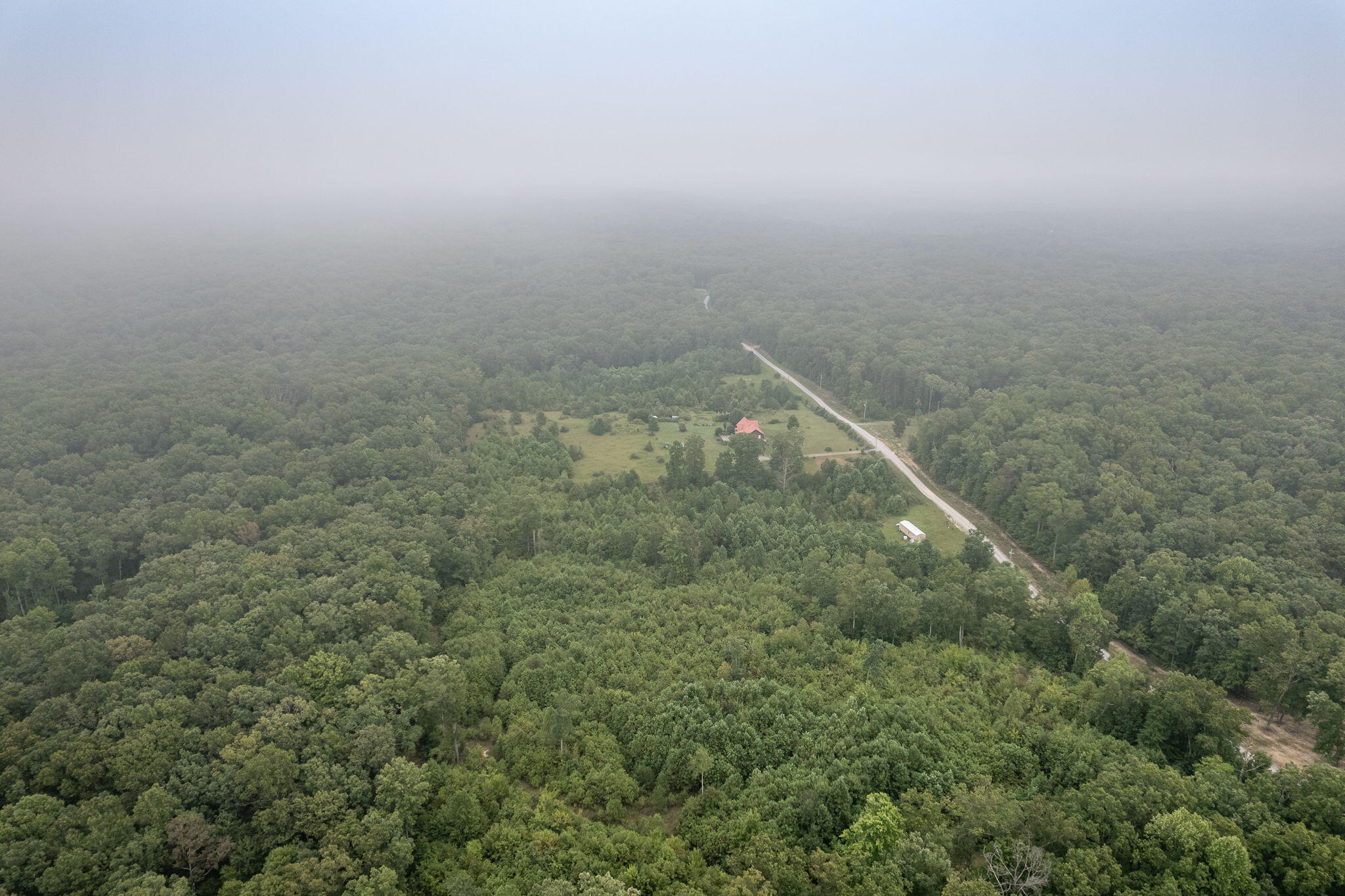 650 Green Forest Road Dunlap, TN 37327 - Photo 14 of 22 21-web-or-mls-DJI_0090