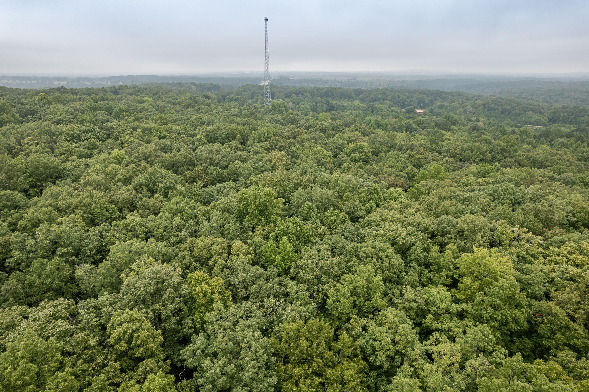 650 Green Forest Road Dunlap, TN 37327 - Photo 4 of 22 6-web-or-mls-DJI_0075