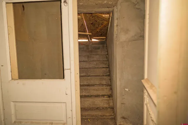 a view of a backyard with tree s