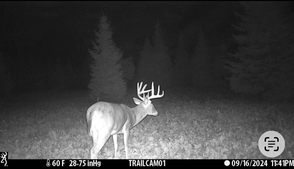 Red Hickory Road Eland, WI 54427 - Photo 22 of 28
