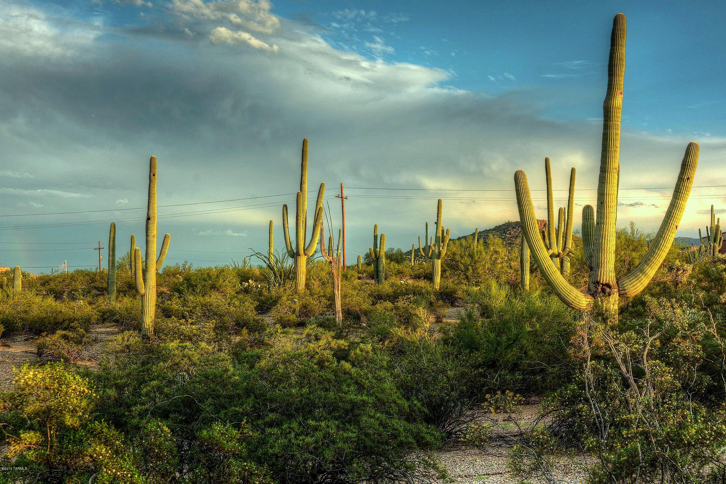 6851 North Wade Road Tucson, AZ 85743 - Photo 29 of 41 Gallery Image 29