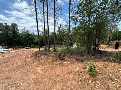667 Long Branch Road Marble, NC 28905 - Photo 40 of 48 Gallery Image 40