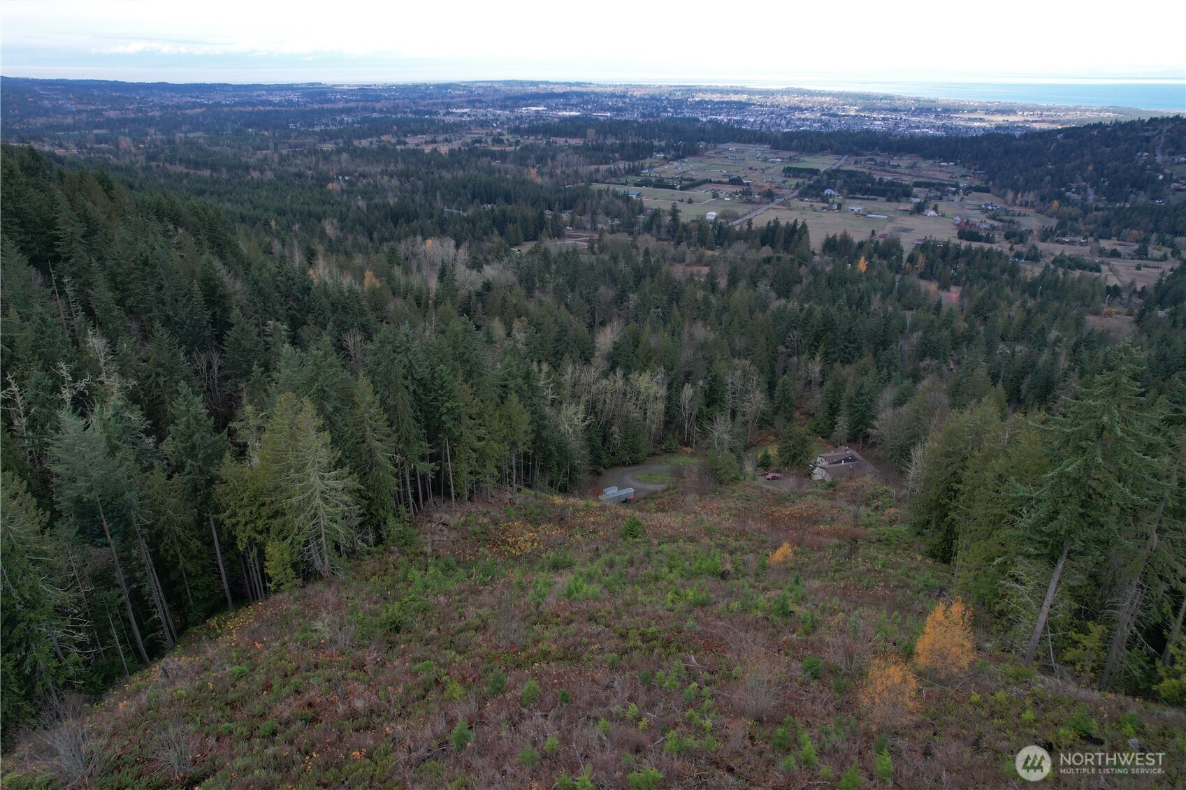 364 Old Dads Road Sequim, WA 98382 - Photo 37 of 37 a view of a dry yard with green space