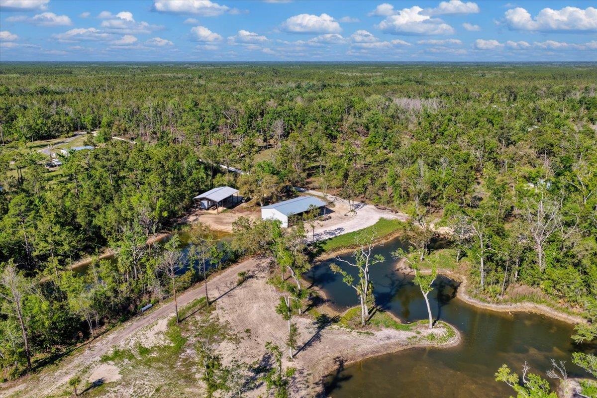 0 Northwest Roys Road Steinhatchee, FL 32359 - Photo 59 of 70
